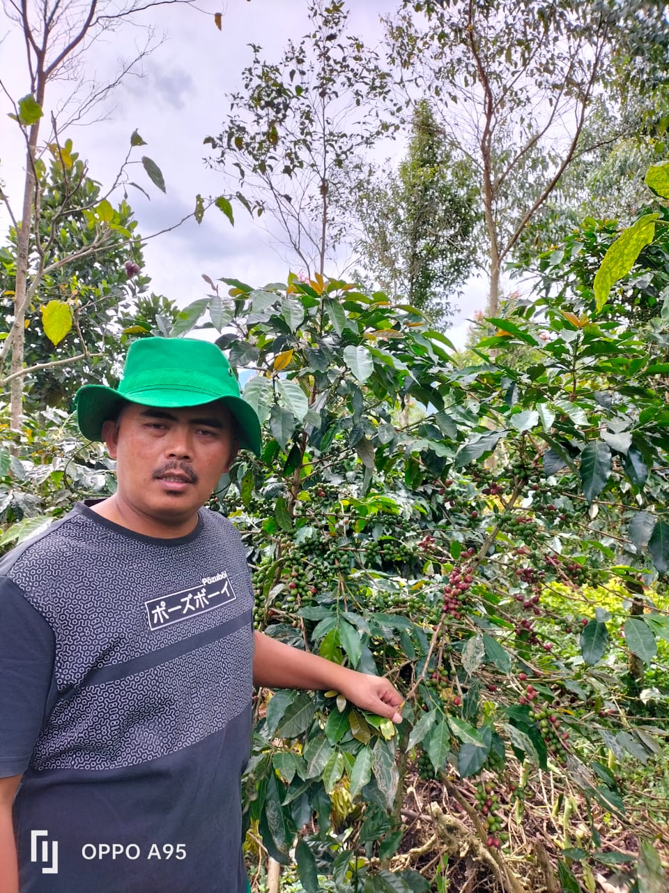2022 印尼 COE 第21名 Jaya Tani Farm